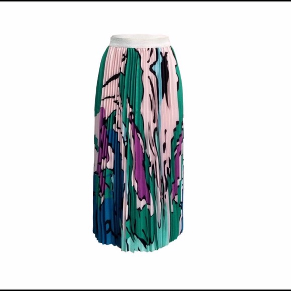 Limeskulls Dresses & Skirts - Multicolor Pleated Skirt